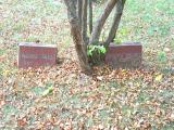image of grave number 252578